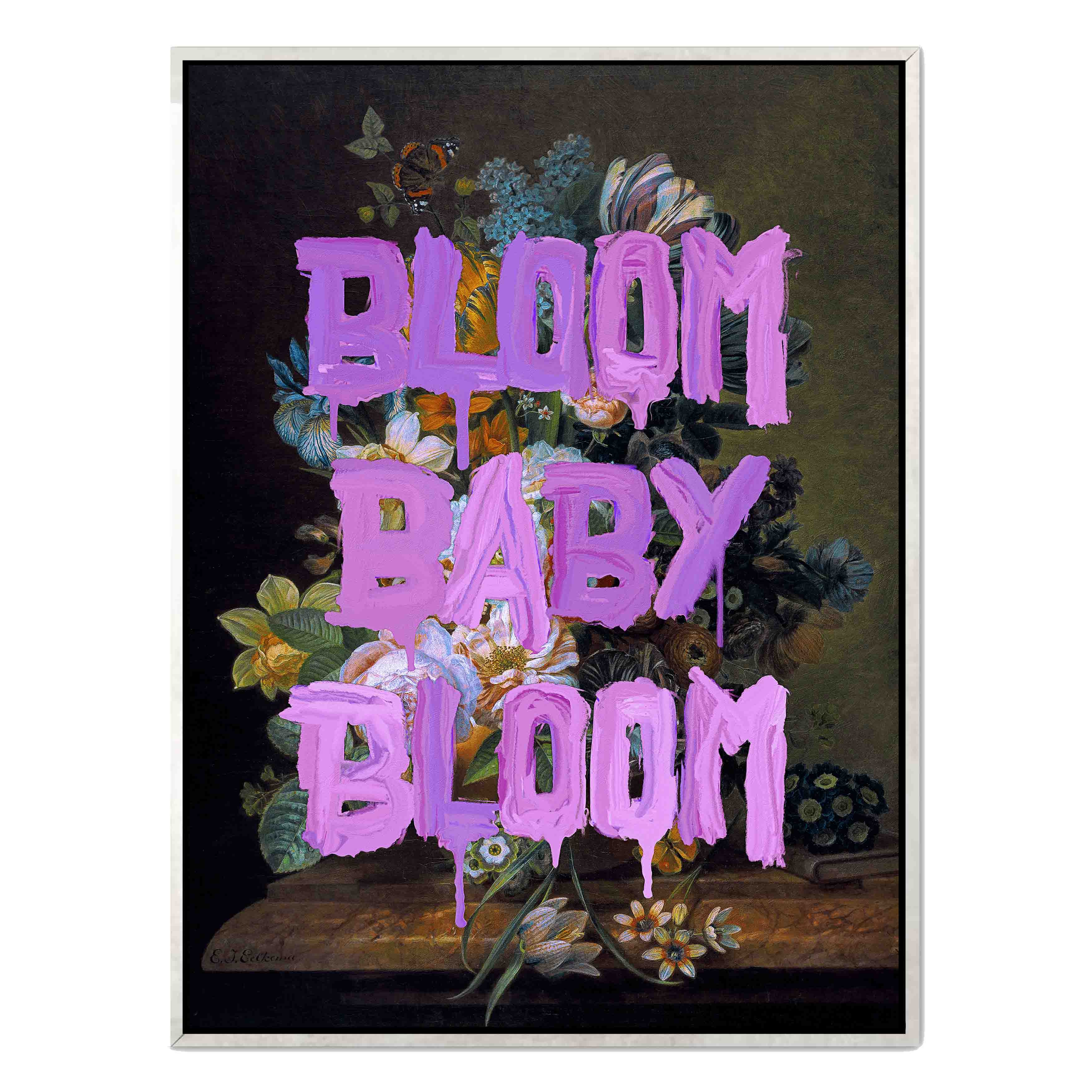 BLOOM BABY BLOOM
