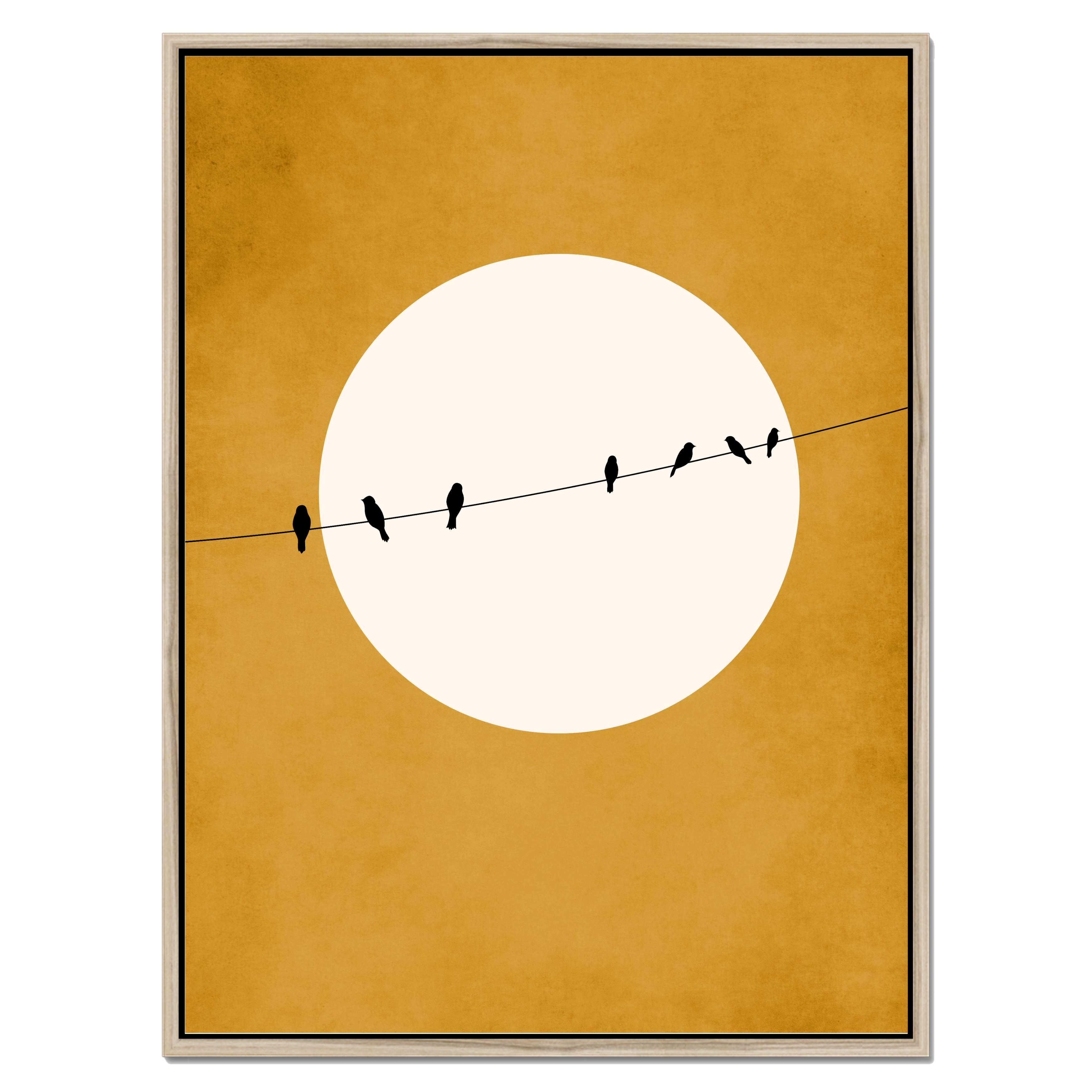 CHIRPING AND CHILLING ( AT NIGHT)