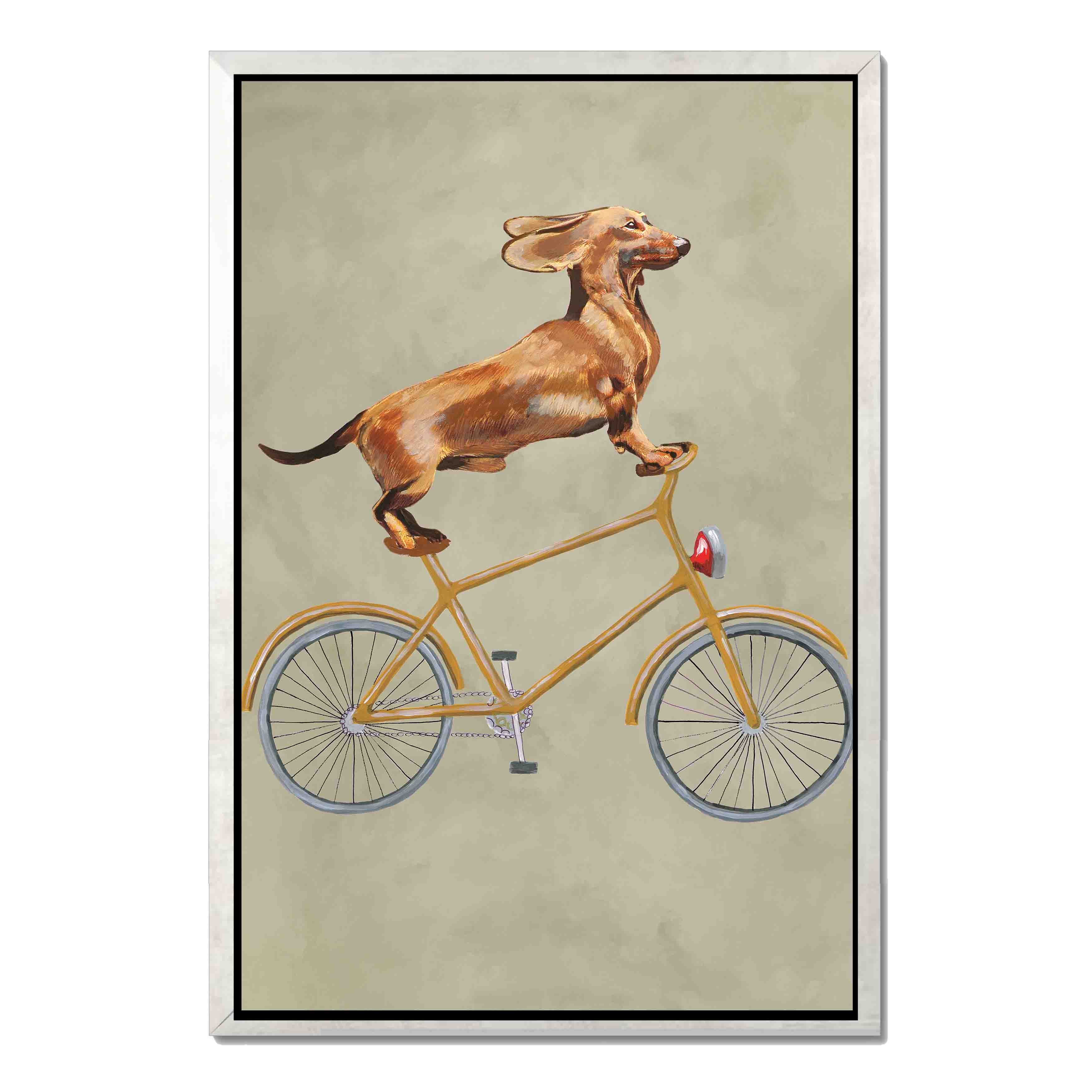 DACHSHUND ON BICYCLE