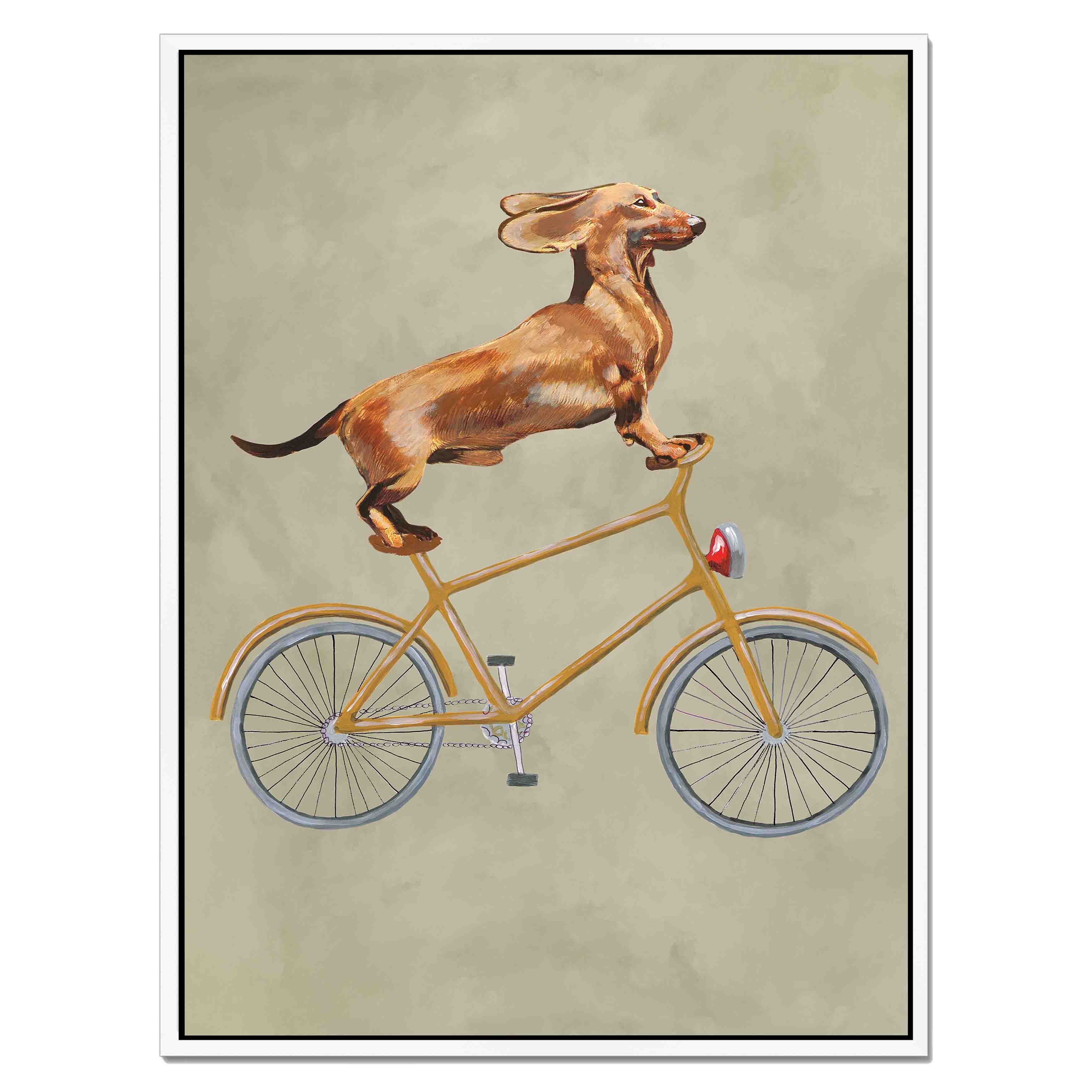 DACHSHUND ON BICYCLE