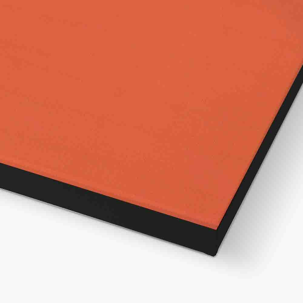 DALMATIAN WITH ROLLERSKATES