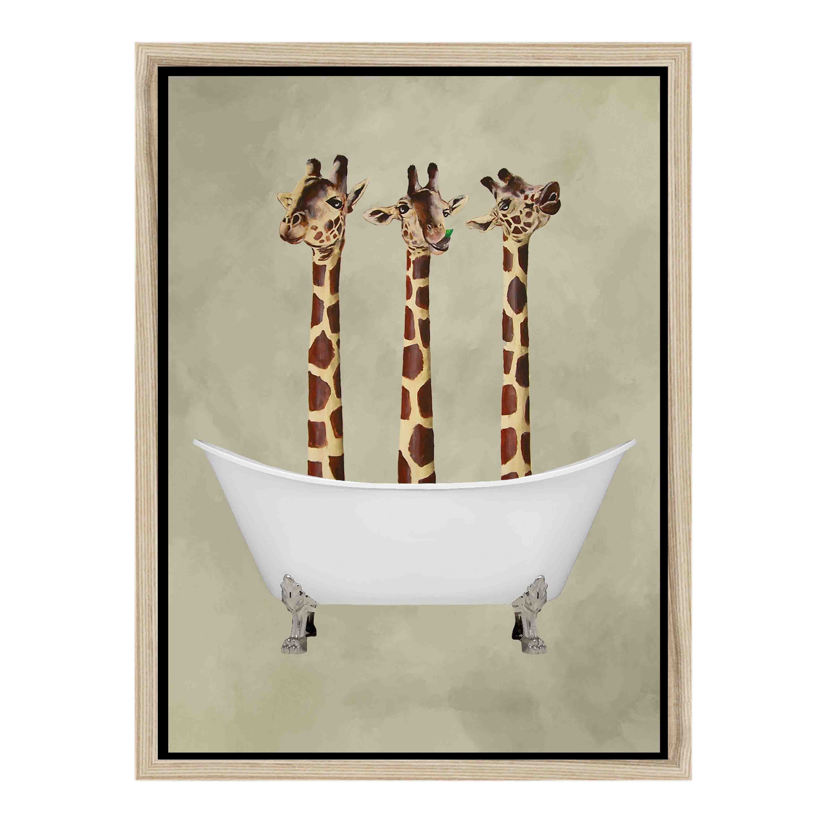 GIRAFFES IN BATHTUB