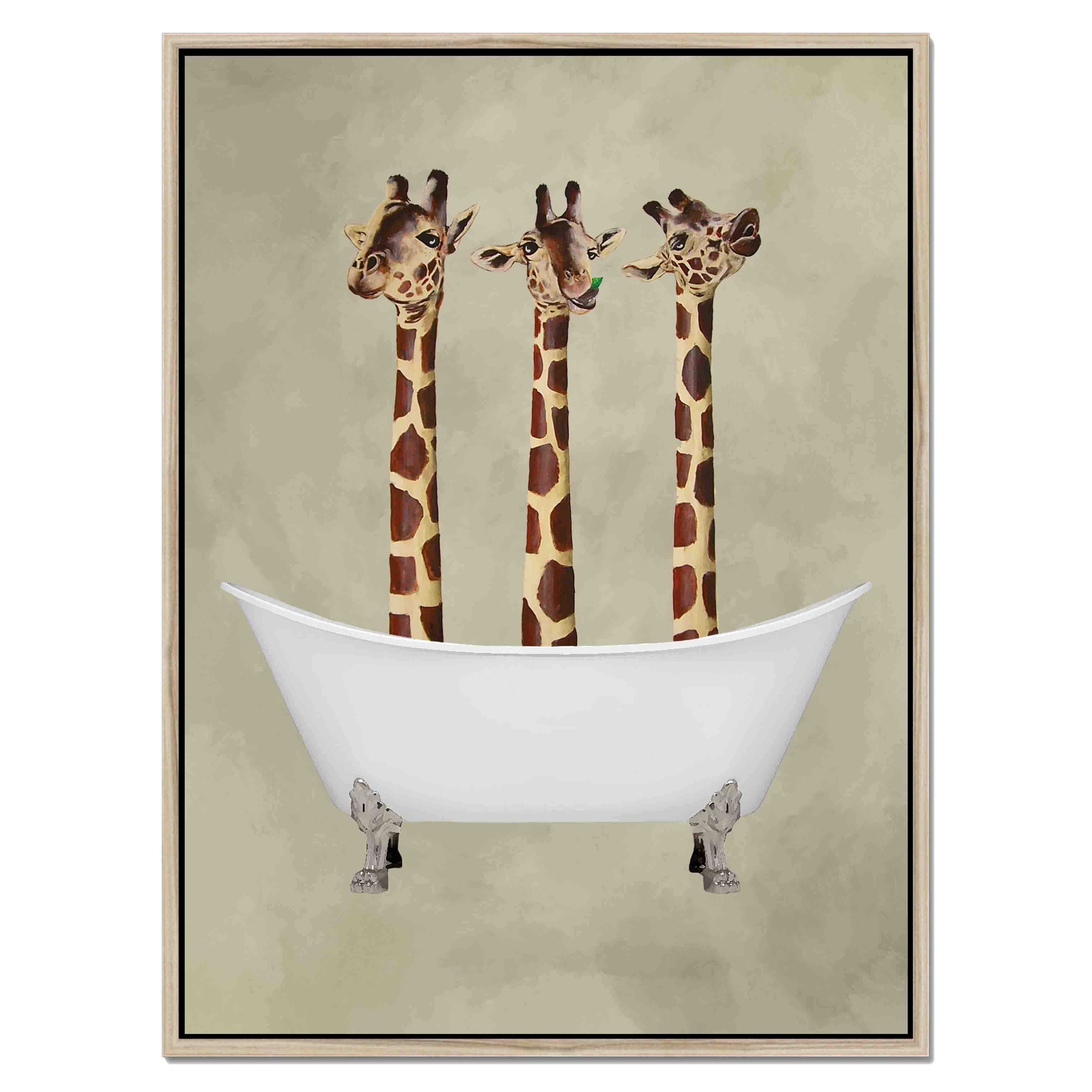 GIRAFFES IN BATHTUB