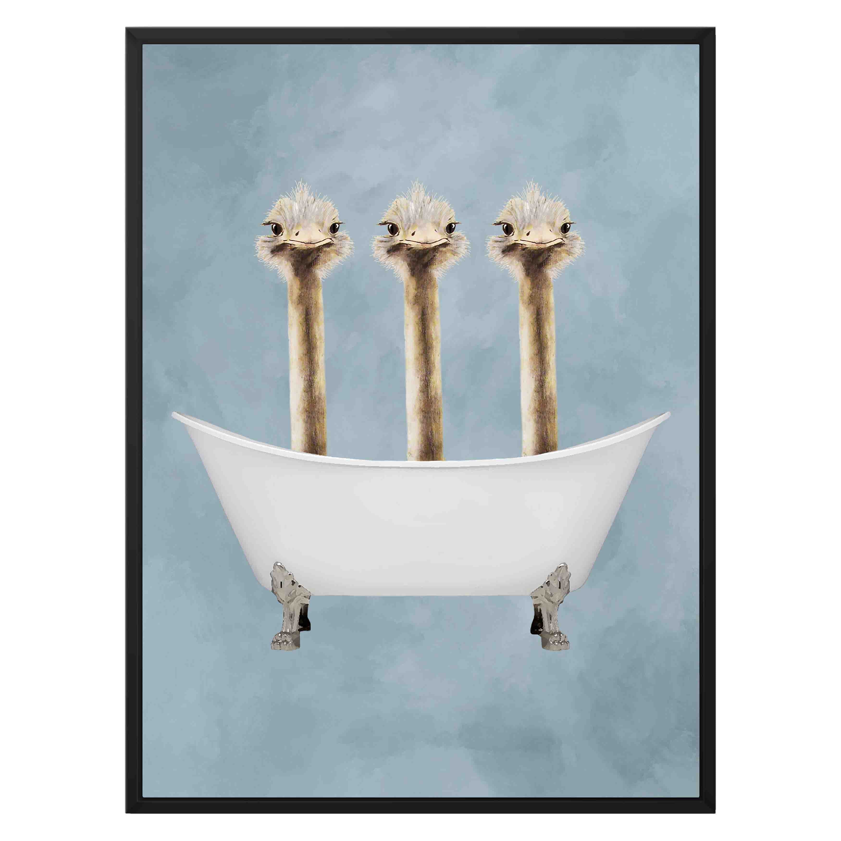 OSTRICHES IN BATHTUB