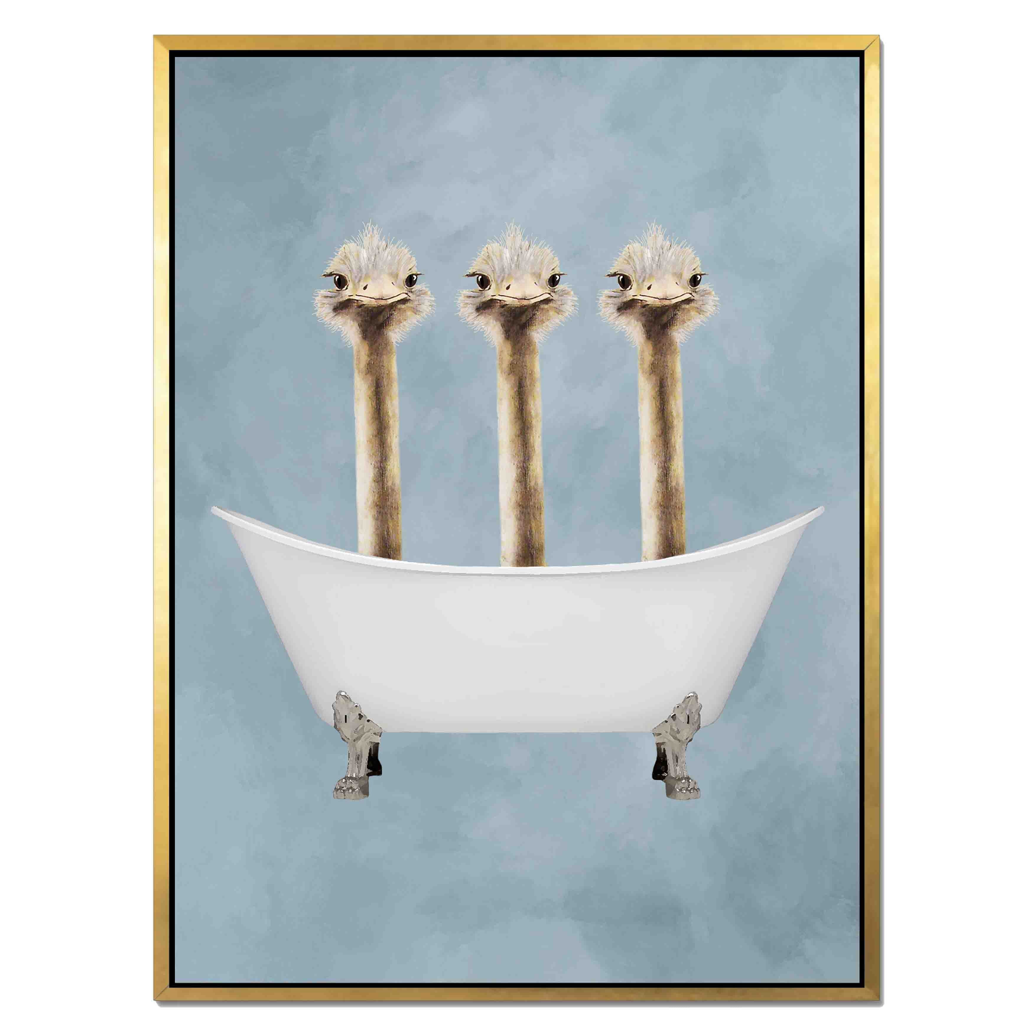 OSTRICHES IN BATHTUB