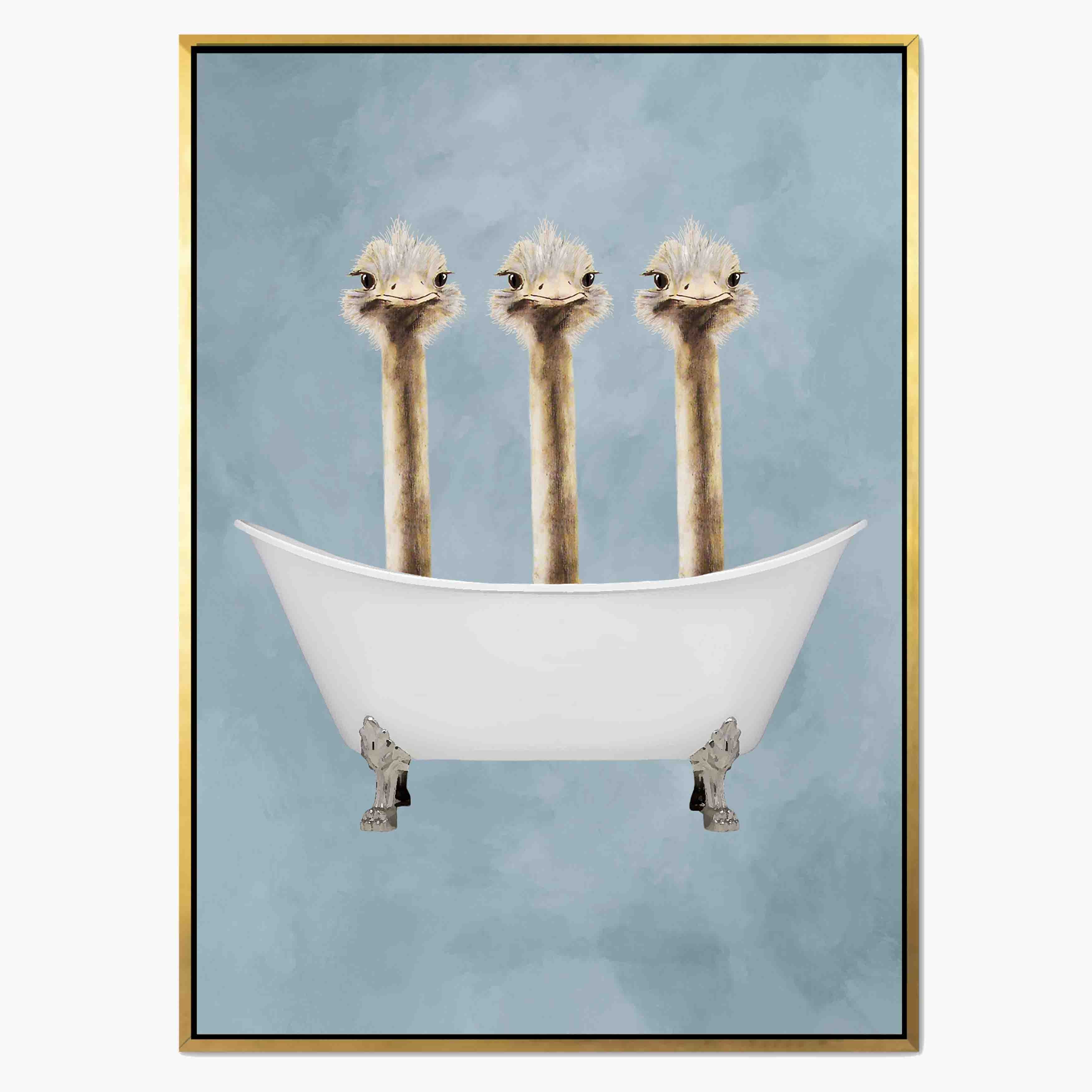 OSTRICHES IN BATHTUB