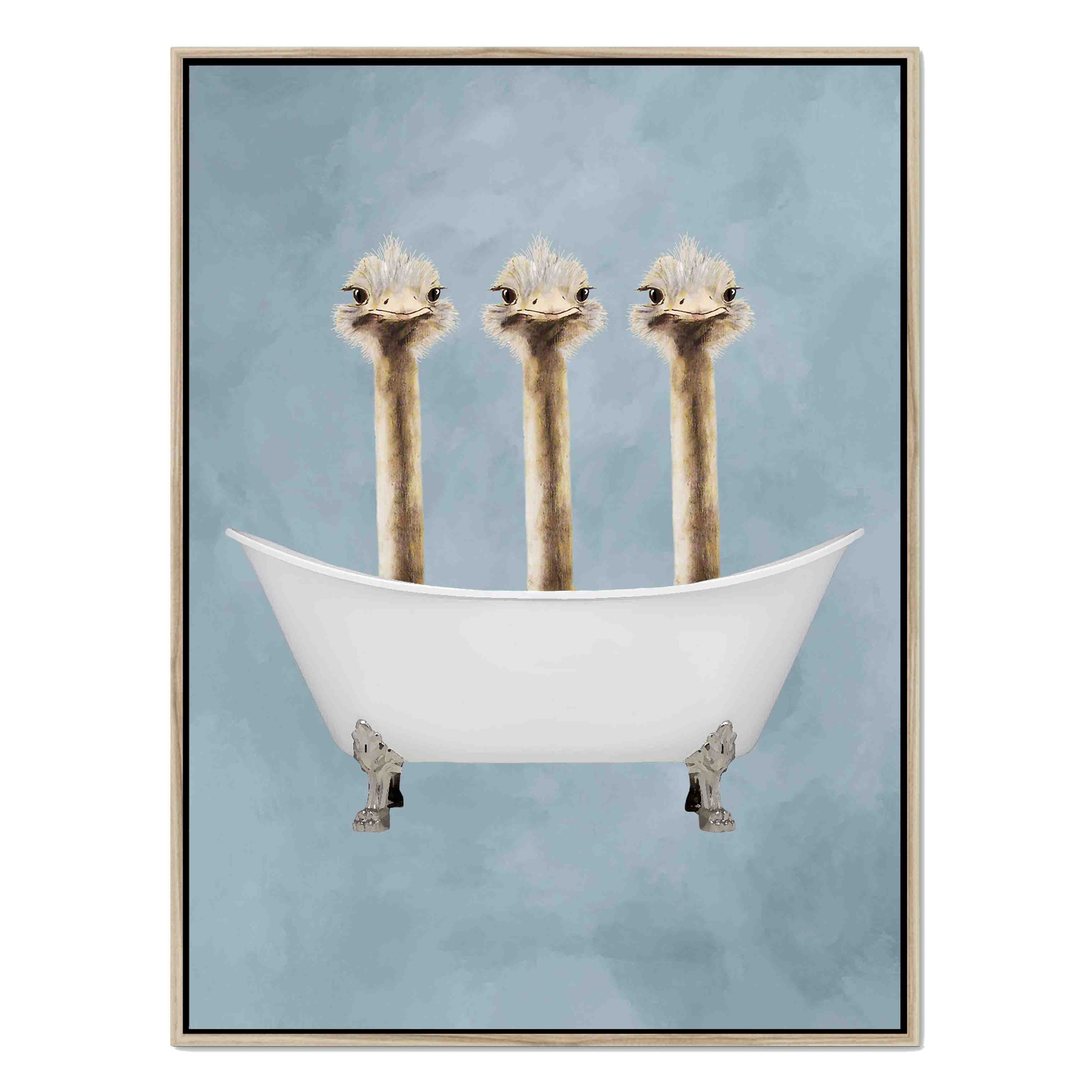 OSTRICHES IN BATHTUB