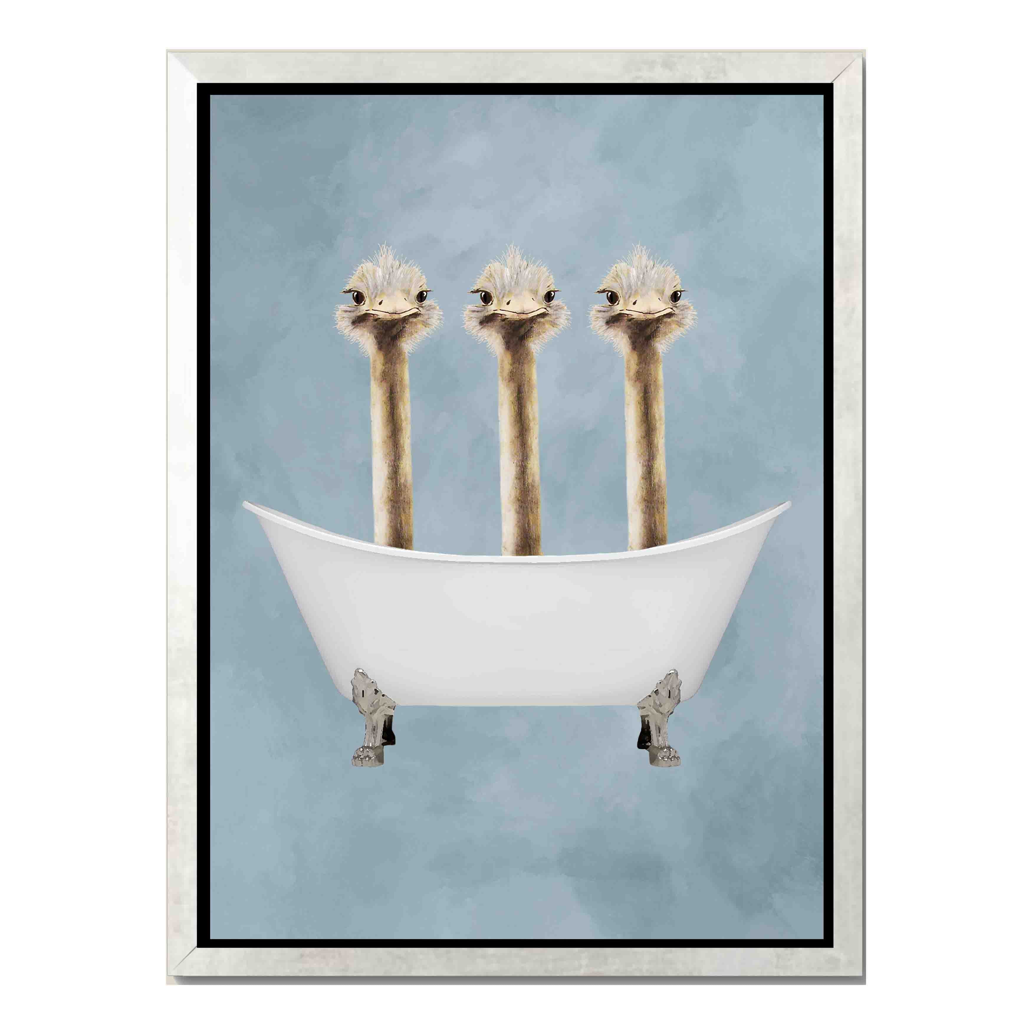 OSTRICHES IN BATHTUB