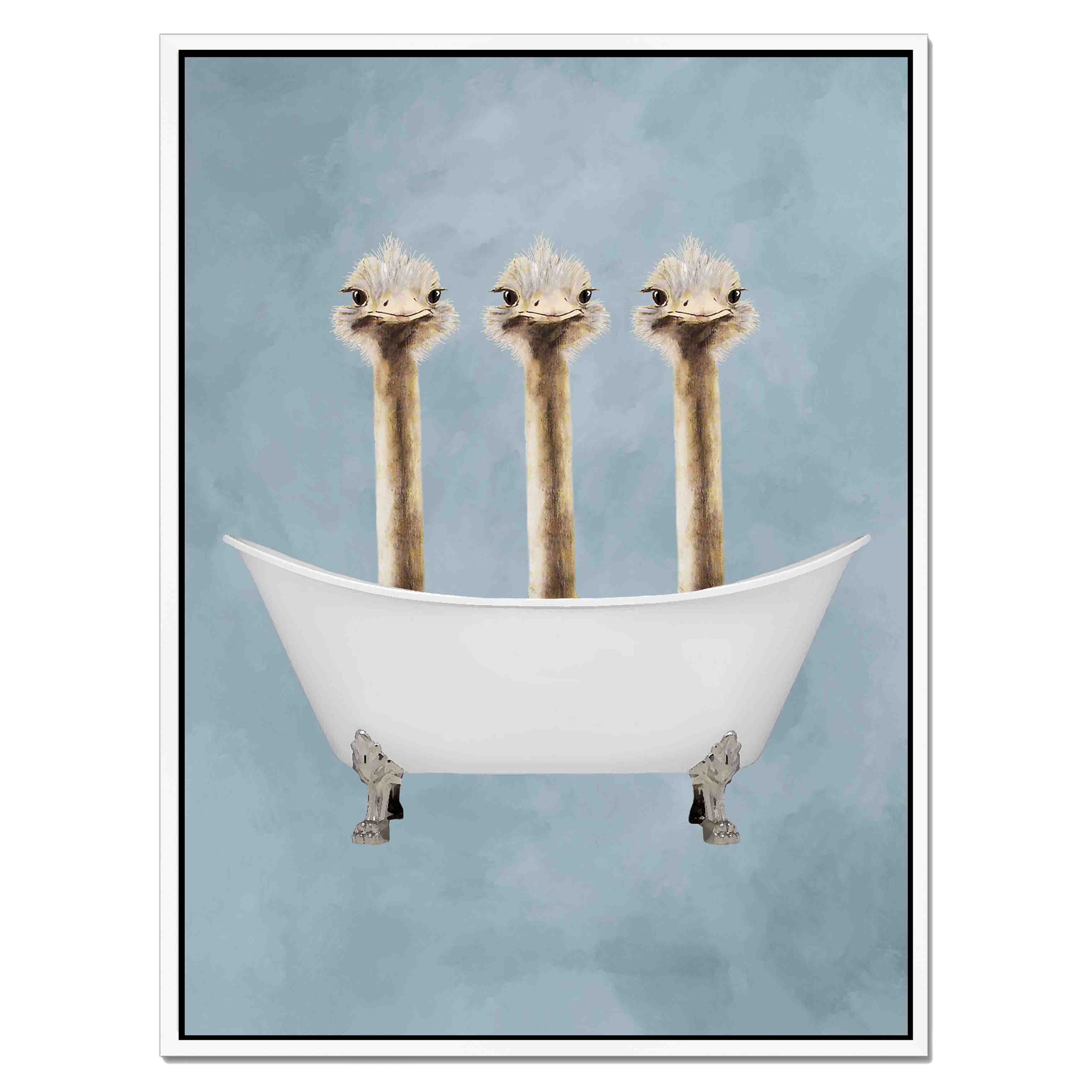 OSTRICHES IN BATHTUB