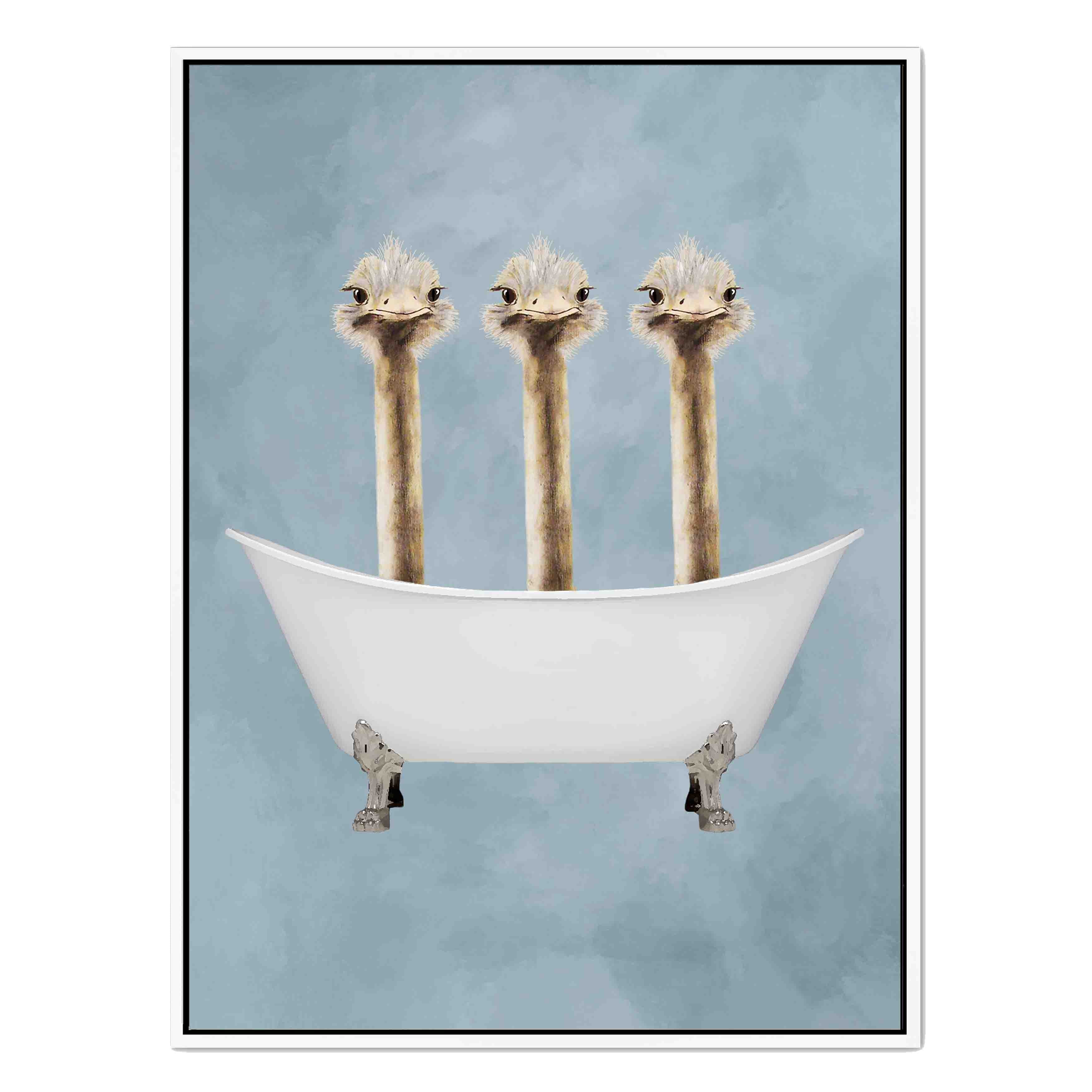 OSTRICHES IN BATHTUB