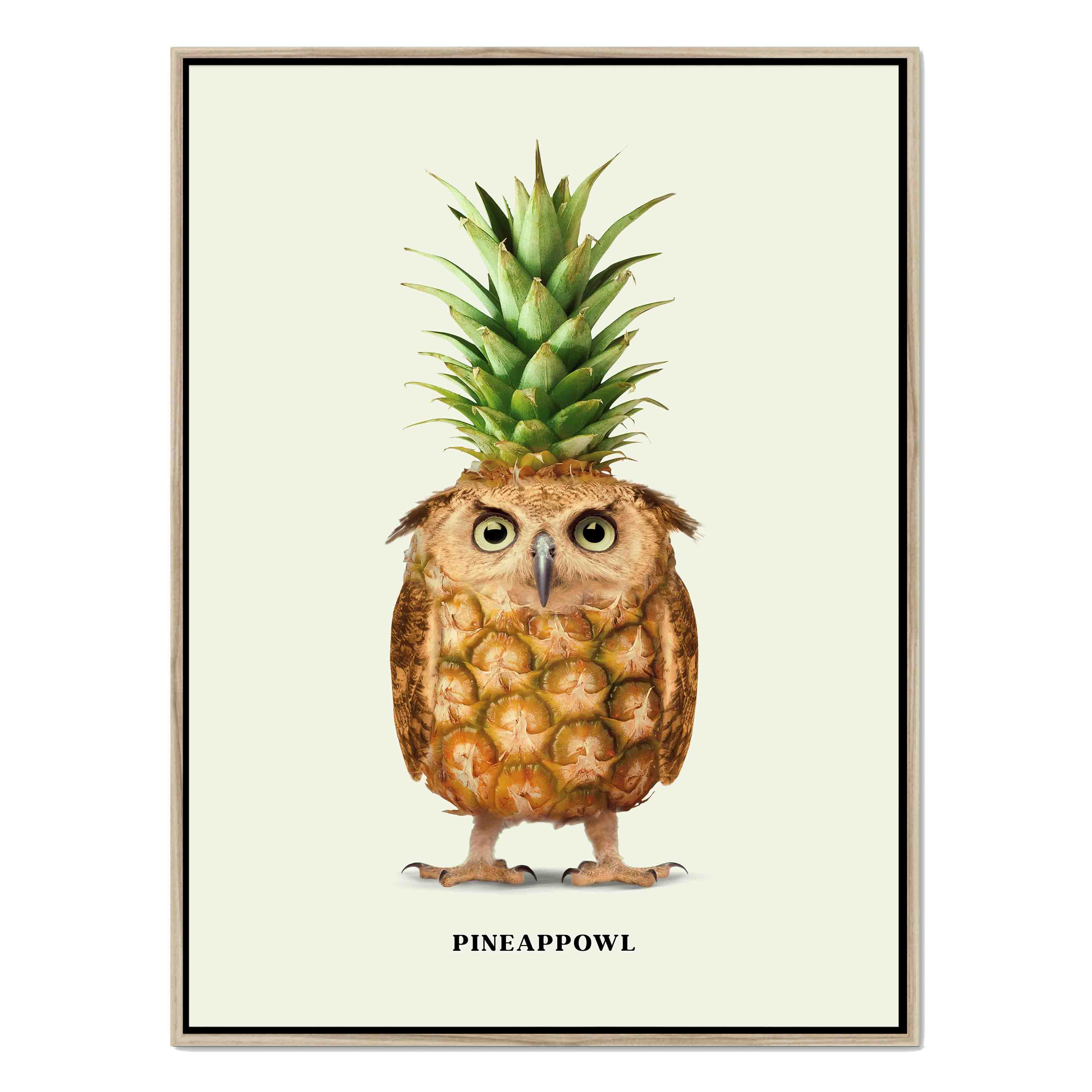 PINEAPPOWL