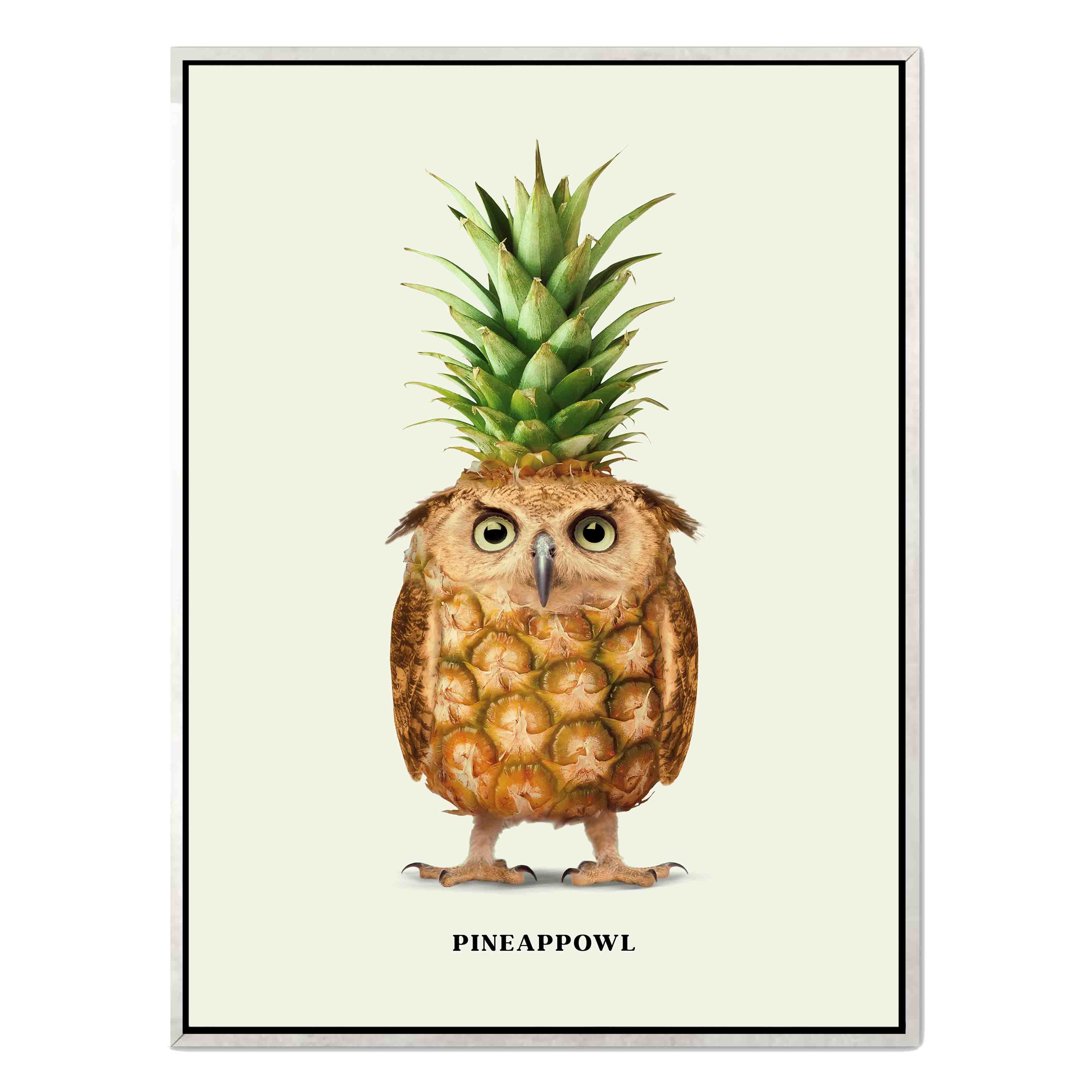 PINEAPPOWL