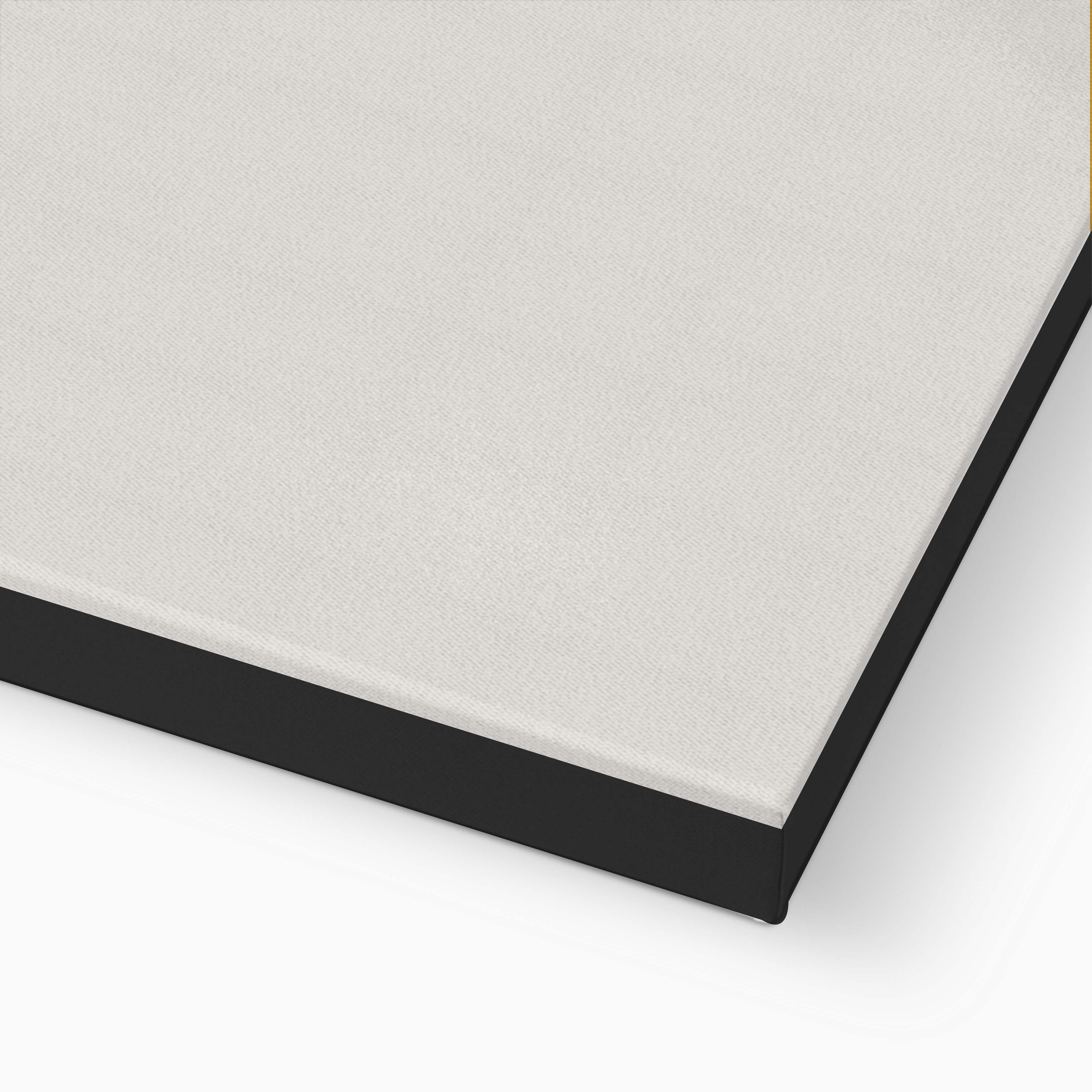 BRAINS ARE THE NEW TITS