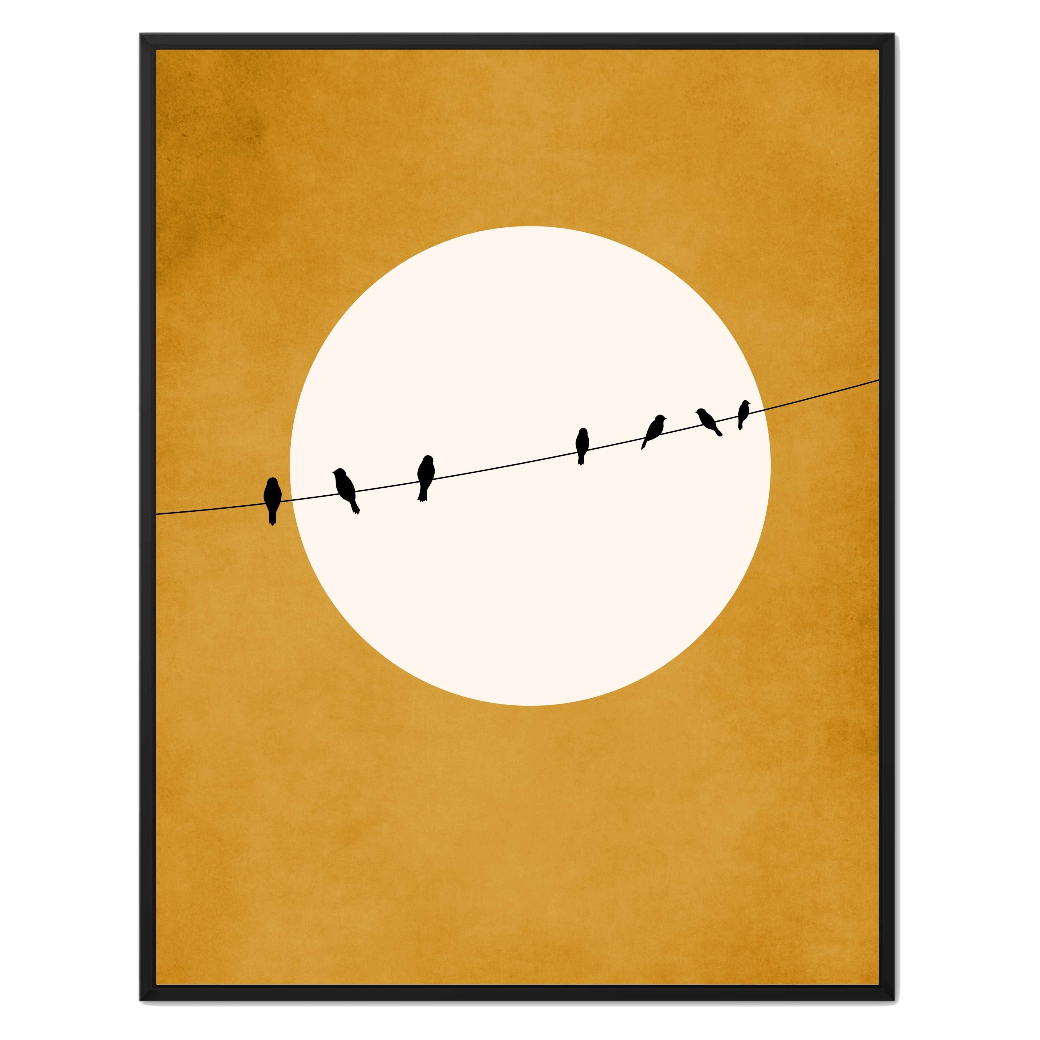 CHIRPING AND CHILLING ( AT NIGHT)