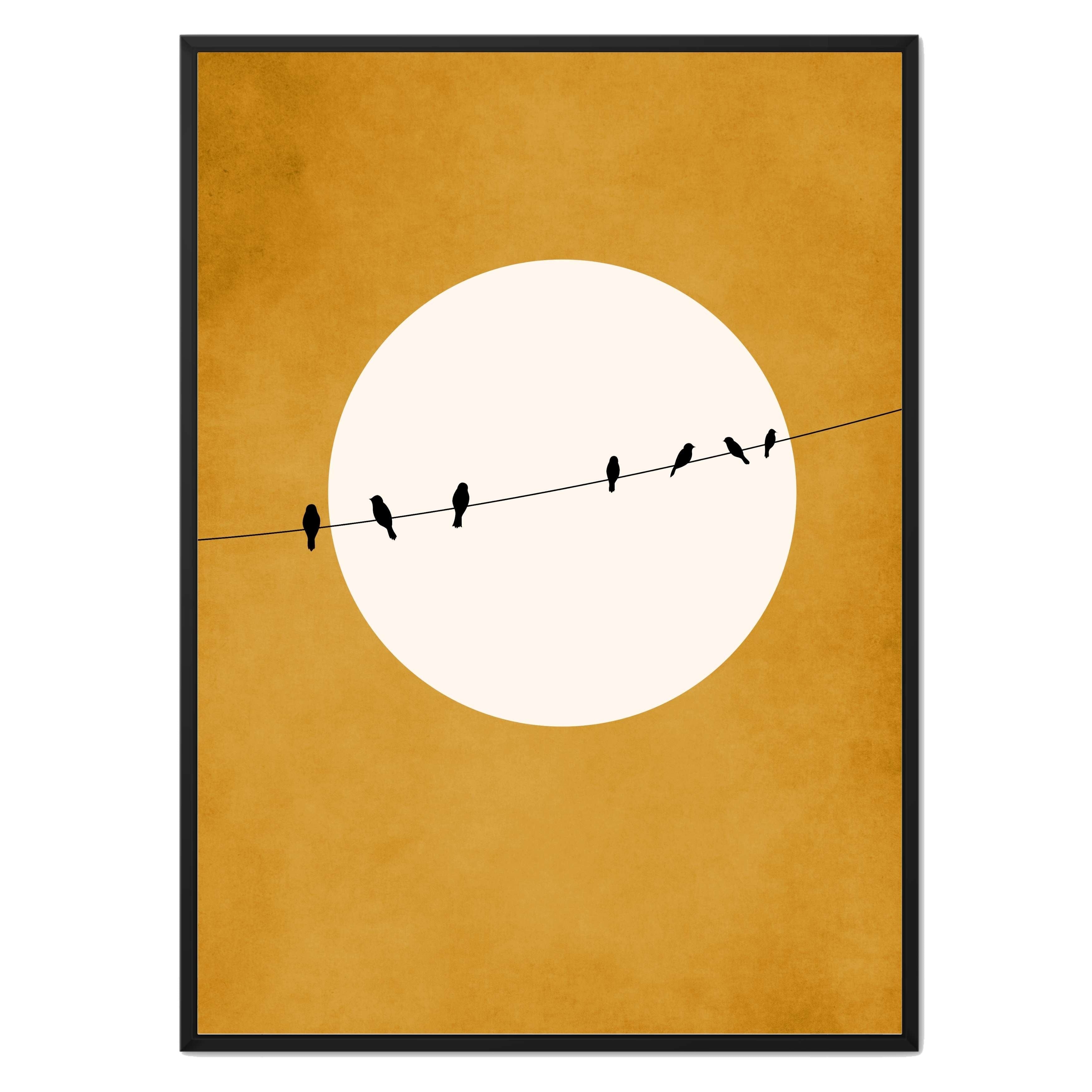 CHIRPING AND CHILLING ( AT NIGHT)