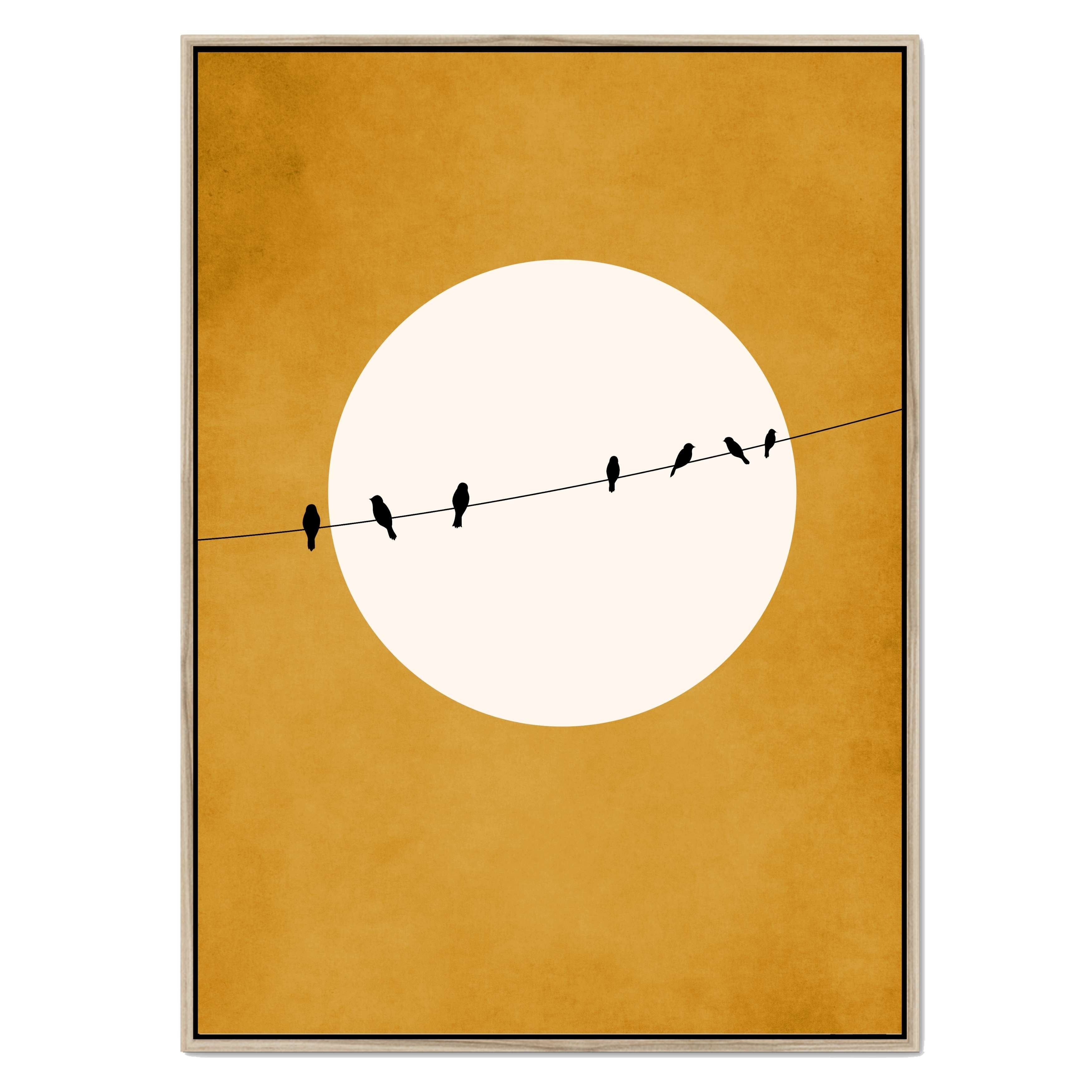 CHIRPING AND CHILLING ( AT NIGHT)