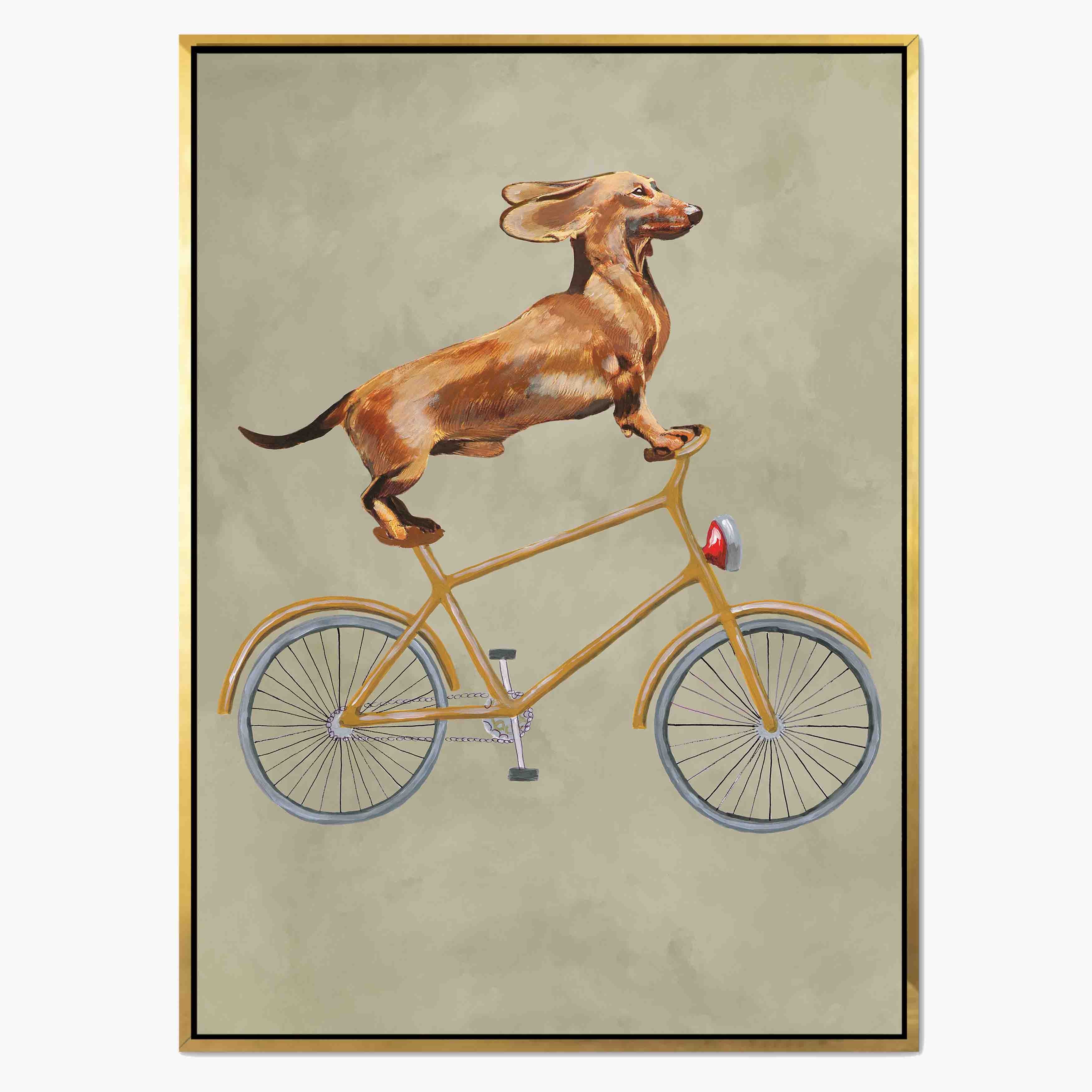 DACHSHUND ON BICYCLE