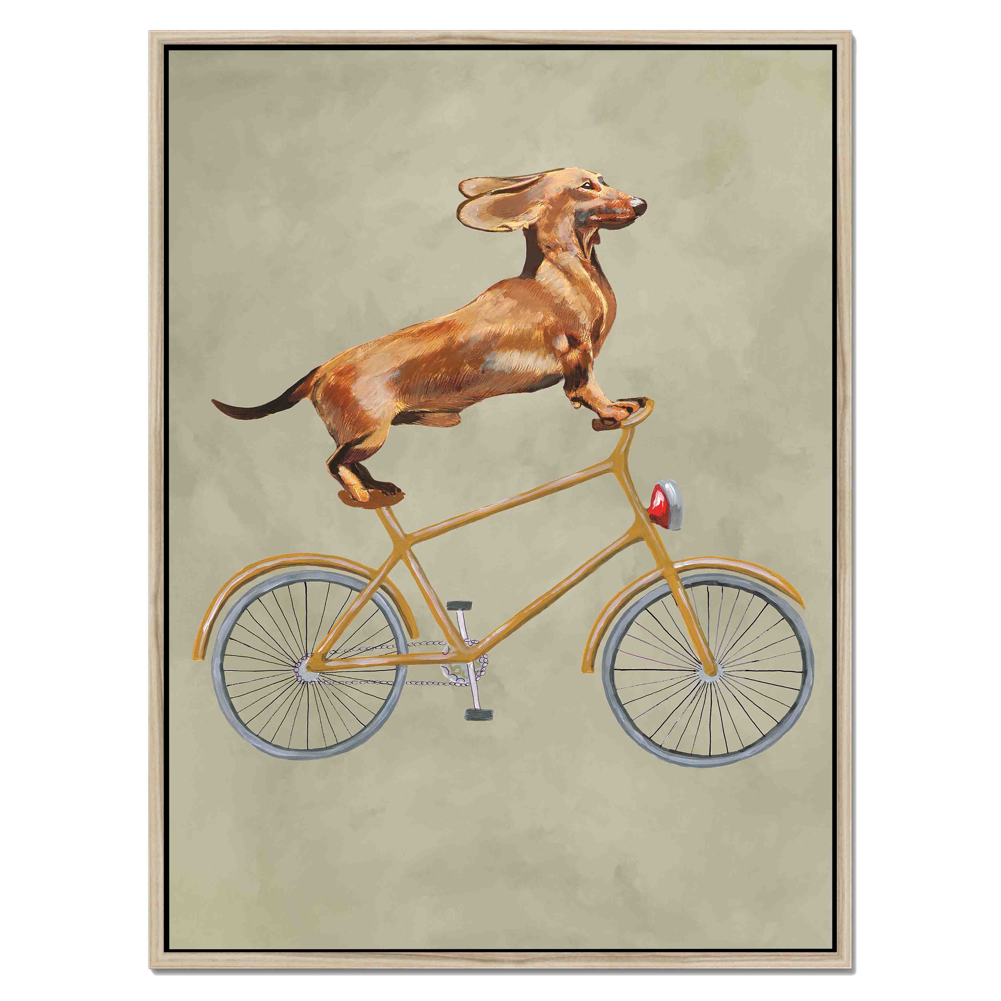 DACHSHUND ON BICYCLE