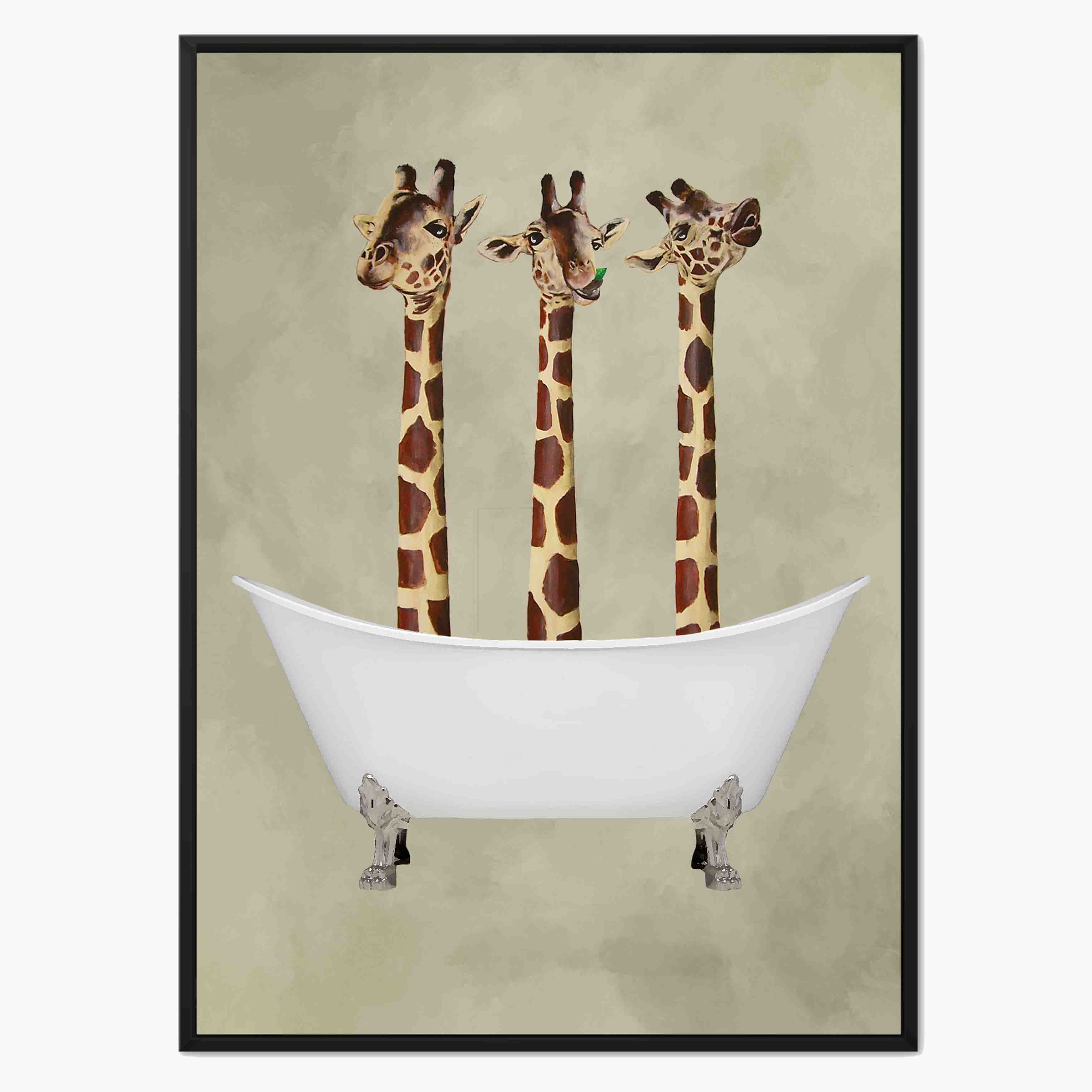 GIRAFFES IN BATHTUB