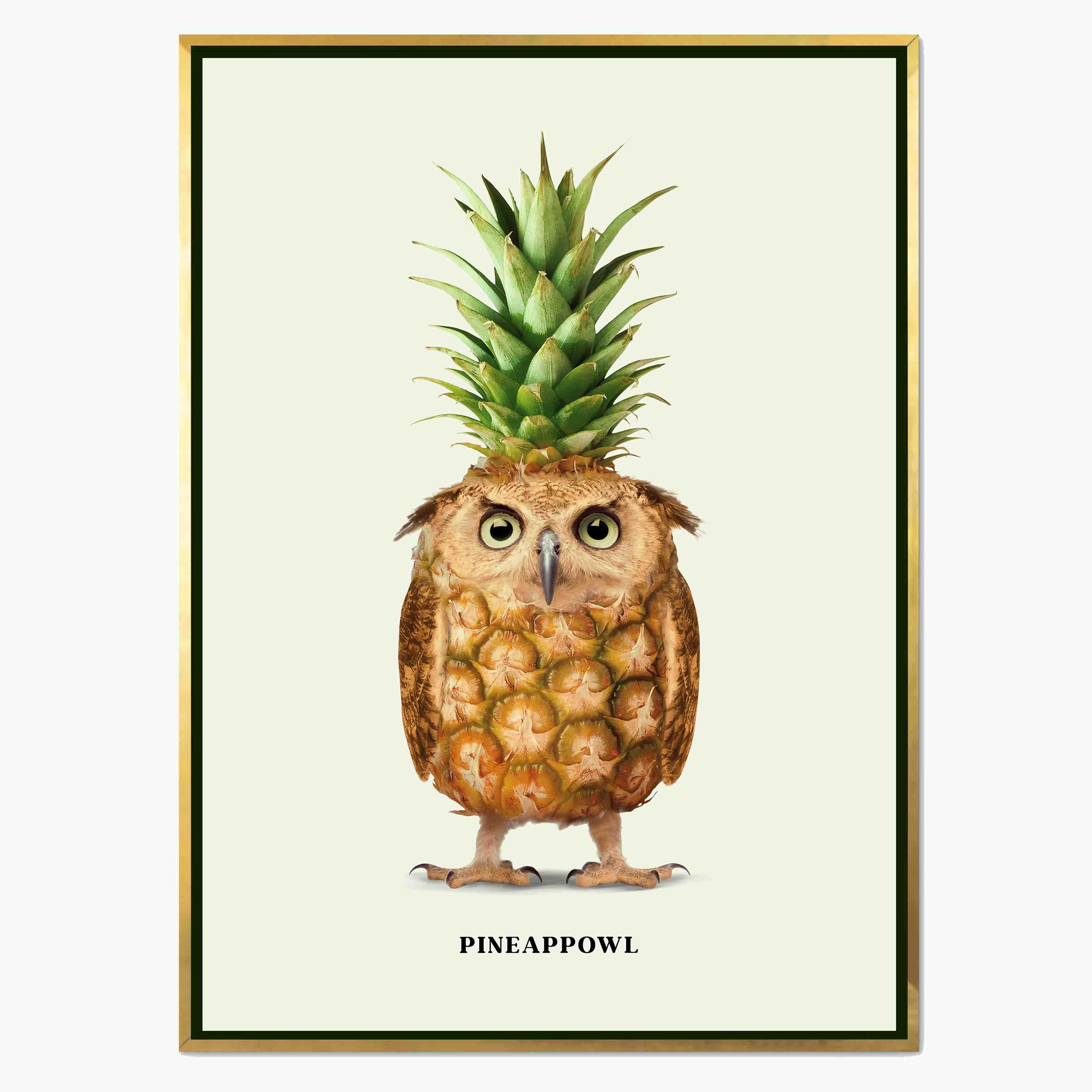 PINEAPPOWL